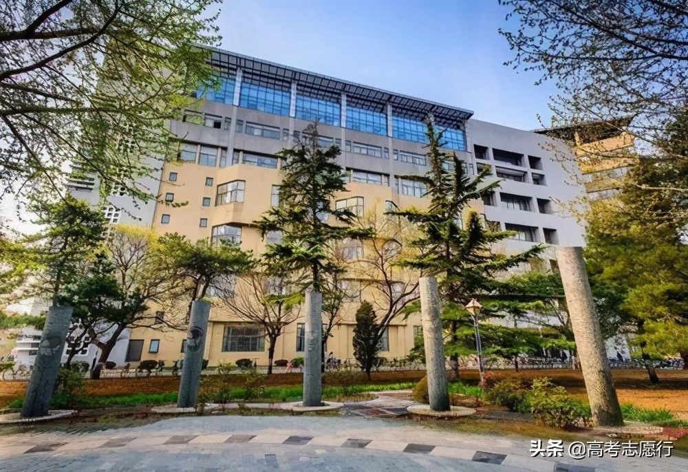 录取分数超过985，这所普通大学真的就那么好？高分考生斟酌