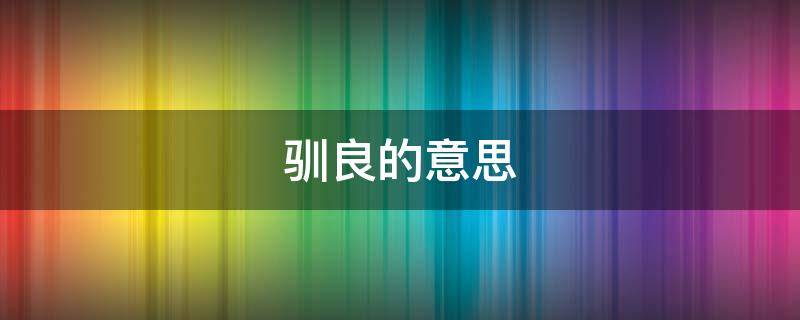 驯良的意思(驯良乖巧是什么意思)