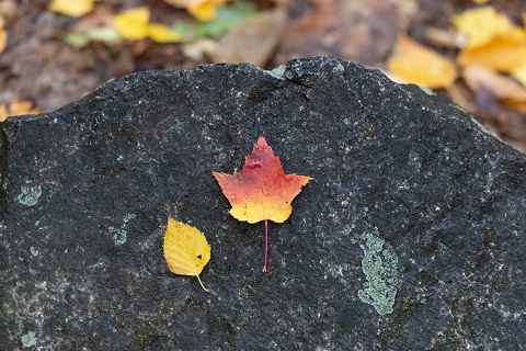 清明节在家烧纸的讲究(清明可以烧纸吗)